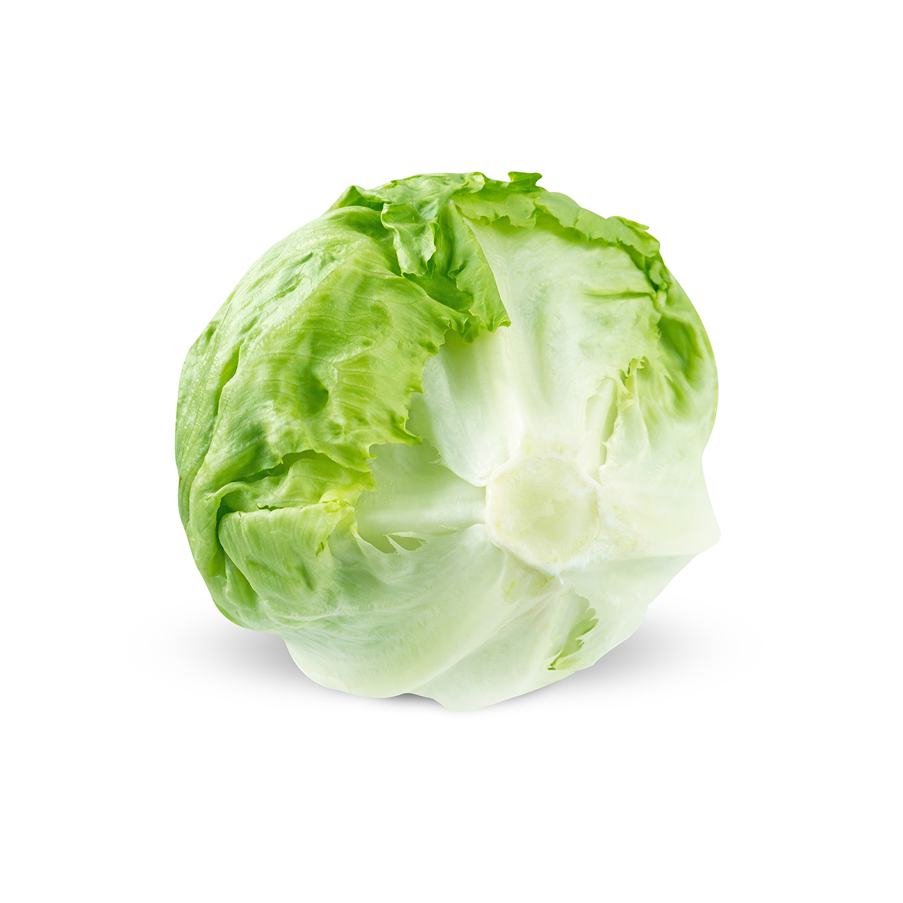 Lettuce, iceberg